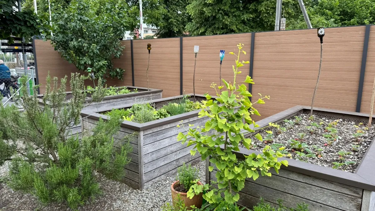 4 Foto 3 Sichtschutz.JPG