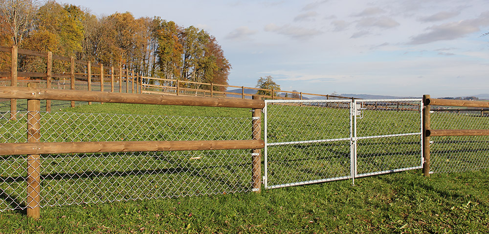 Tierhaltung-Lattenzaun-mit-Tor.jpg 